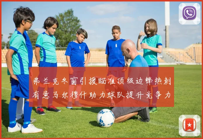 弗兰克冬窗引援瞄准顶级边锋热刺有意马尔穆什助力球队提升竞争力