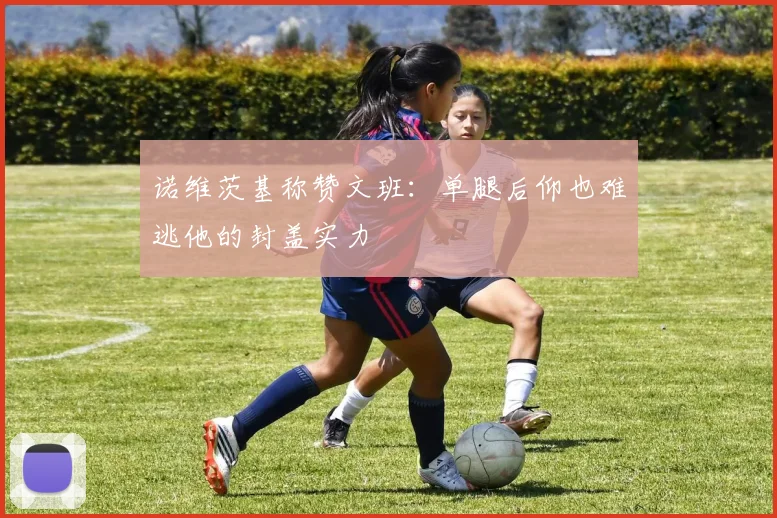 诺维茨基称赞文班：单腿后仰也难逃他的封盖实力