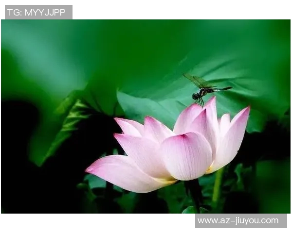 生活琐事与心灵感悟的碎碎念合集三十篇分享